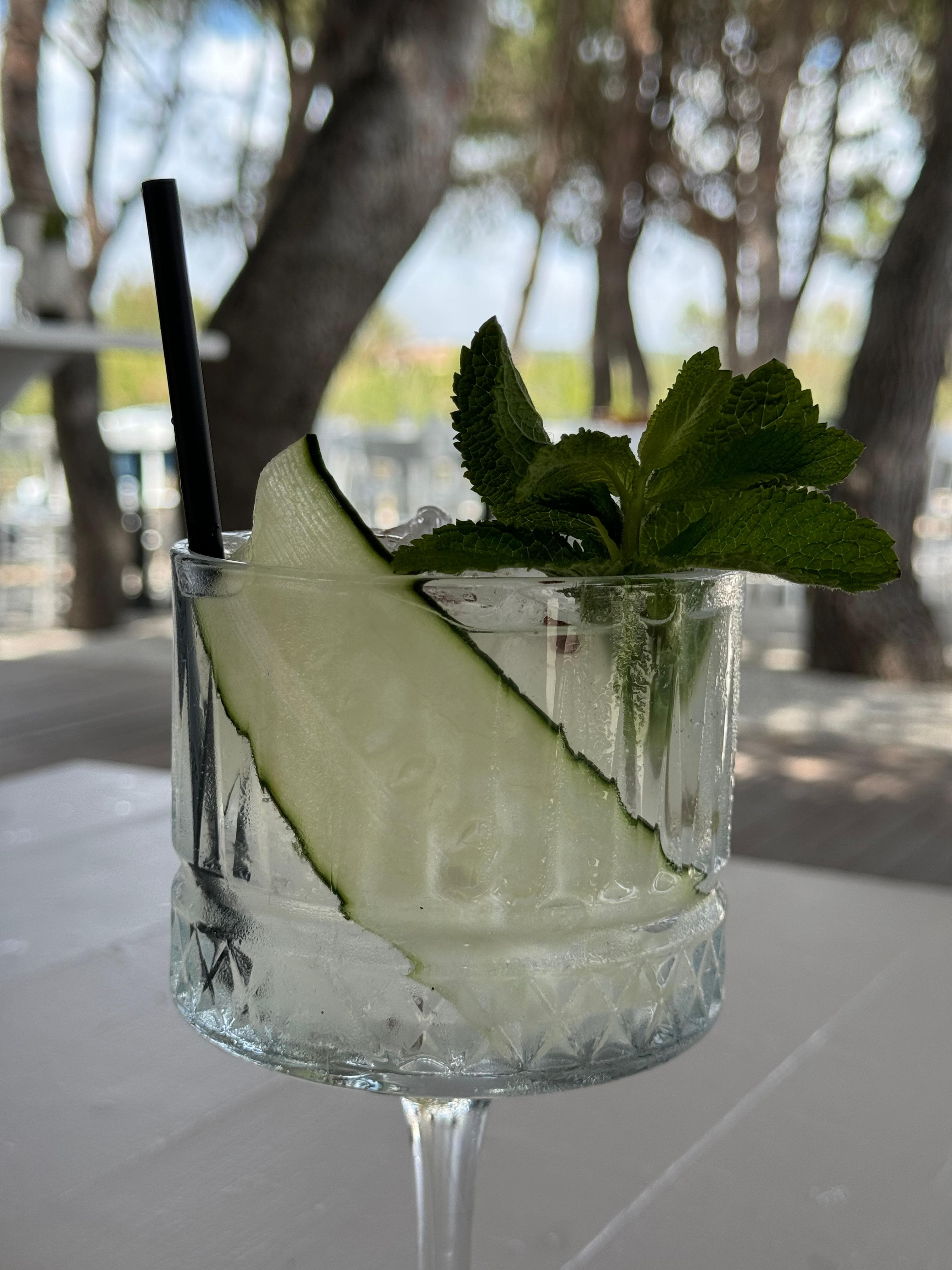 Cocktail fresco del bistrot con ghiaccio e guarnizione